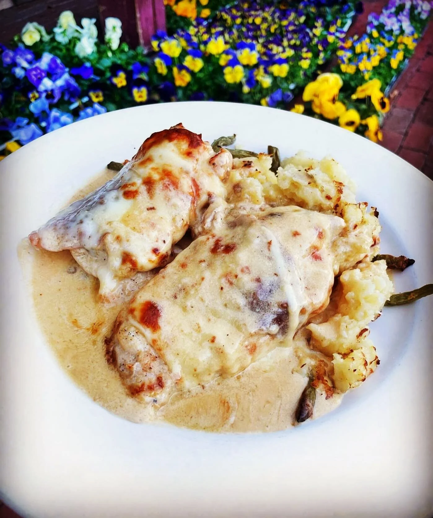Pollo Saltimbocca
